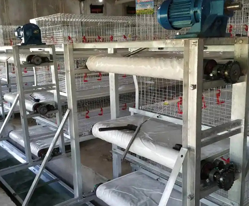What equipment is needed for the breeding base